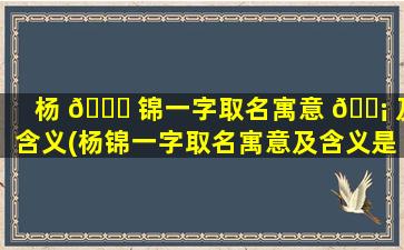 杨 🐋 锦一字取名寓意 🐡 及含义(杨锦一字取名寓意及含义是什么)